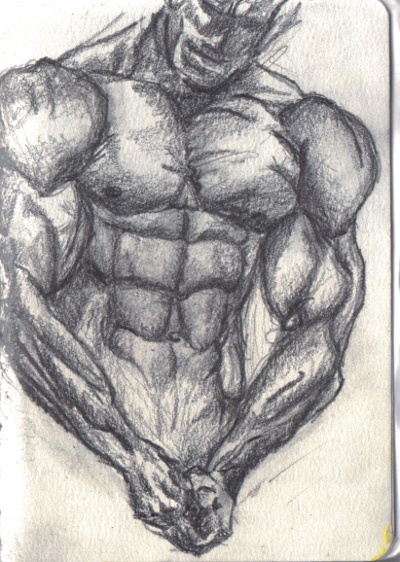 Bodybuilder Sketch Bodybuilder Sketch