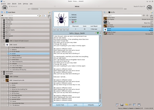 Amarok Screenshot
