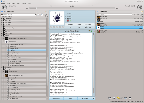 Amarok Screenshot