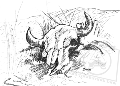 Cow Skull Sketch