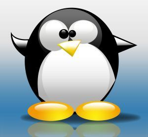 Linux Penguin