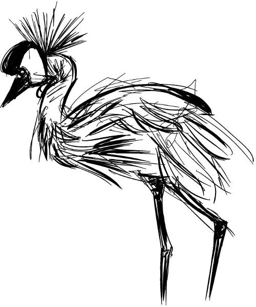 Crane Sketch